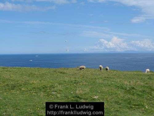 Around Downpatrick Head